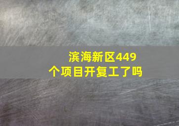 滨海新区449个项目开复工了吗