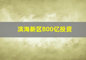 滨海新区800亿投资