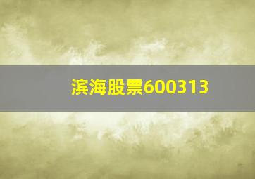 滨海股票600313