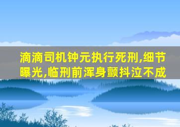 滴滴司机钟元执行死刑,细节曝光,临刑前浑身颤抖泣不成