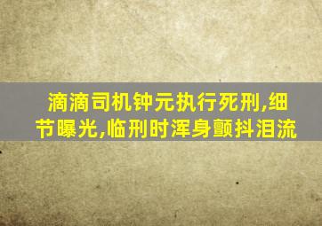 滴滴司机钟元执行死刑,细节曝光,临刑时浑身颤抖泪流