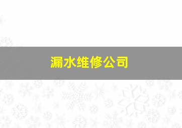 漏水维修公司