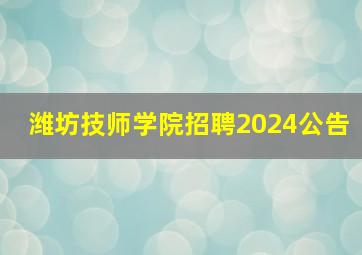 潍坊技师学院招聘2024公告