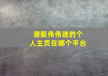 潜艇伟伟迷的个人主页在哪个平台