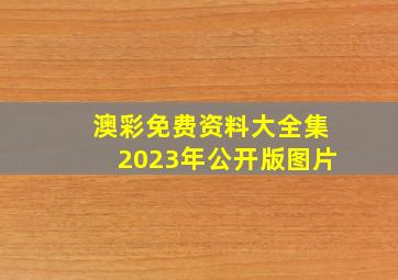 澳彩免费资料大全集2023年公开版图片