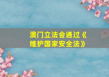 澳门立法会通过《维护国家安全法》