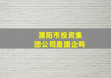 濮阳市投资集团公司是国企吗