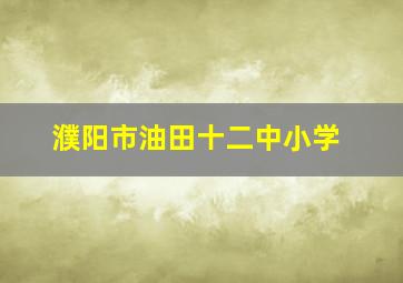 濮阳市油田十二中小学