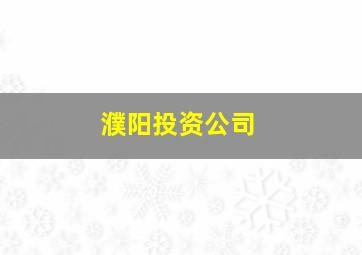 濮阳投资公司