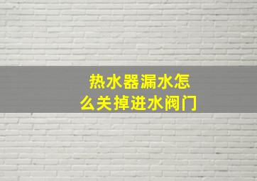 热水器漏水怎么关掉进水阀门