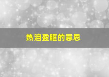 热洎盈眶的意思