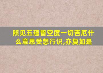 照见五蕴皆空度一切苦厄什么意思受想行识,亦复如是