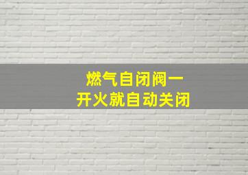 燃气自闭阀一开火就自动关闭