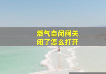 燃气自闭阀关闭了怎么打开