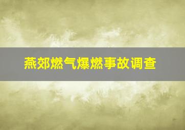 燕郊燃气爆燃事故调查