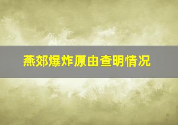 燕郊爆炸原由查明情况