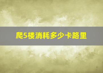 爬5楼消耗多少卡路里