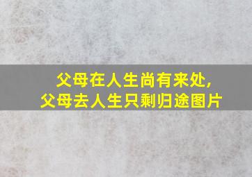 父母在人生尚有来处,父母去人生只剩归途图片