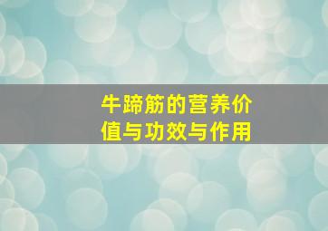 牛蹄筋的营养价值与功效与作用