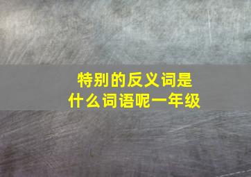 特别的反义词是什么词语呢一年级