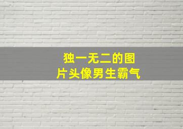 独一无二的图片头像男生霸气