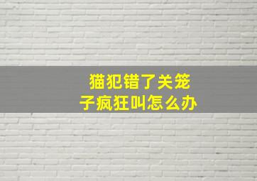 猫犯错了关笼子疯狂叫怎么办