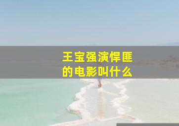 王宝强演悍匪的电影叫什么