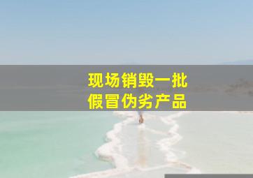 现场销毁一批假冒伪劣产品