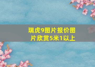 瑞虎9图片报价图片欣赏5米1以上