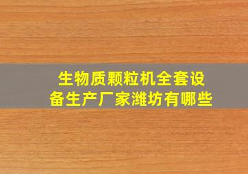 生物质颗粒机全套设备生产厂家潍坊有哪些