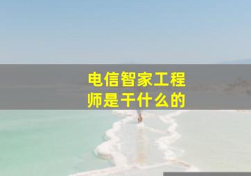 电信智家工程师是干什么的