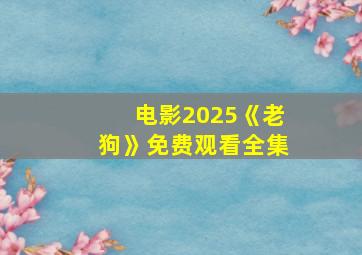 电影2025《老狗》免费观看全集