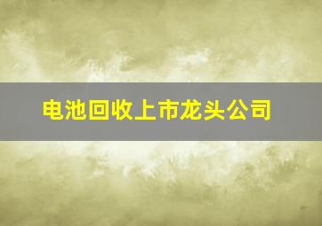 电池回收上市龙头公司