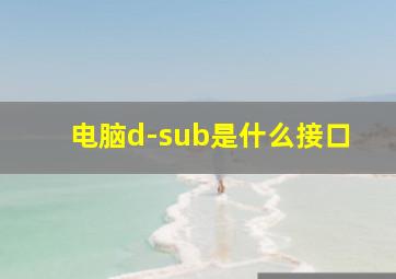 电脑d-sub是什么接口