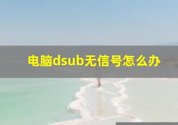 电脑dsub无信号怎么办