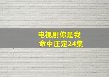 电视剧你是我命中注定24集