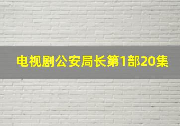 电视剧公安局长第1部20集