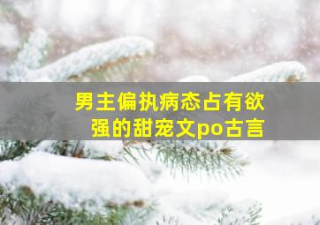 男主偏执病态占有欲强的甜宠文po古言