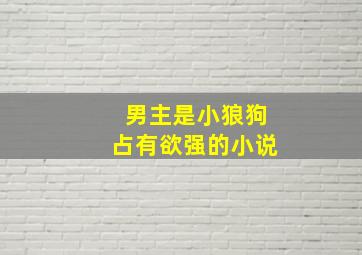 男主是小狼狗占有欲强的小说