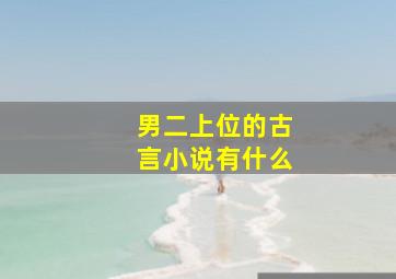 男二上位的古言小说有什么