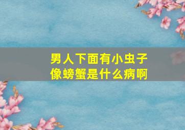 男人下面有小虫子像螃蟹是什么病啊