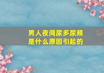 男人夜间尿多尿频是什么原因引起的