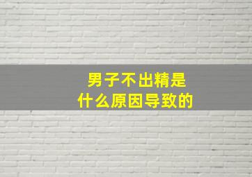 男子不出精是什么原因导致的