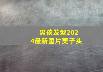 男孩发型2024最新图片栗子头