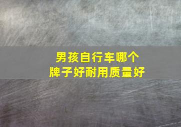 男孩自行车哪个牌子好耐用质量好