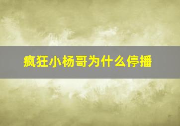 疯狂小杨哥为什么停播