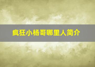 疯狂小杨哥哪里人简介