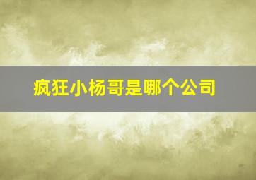 疯狂小杨哥是哪个公司