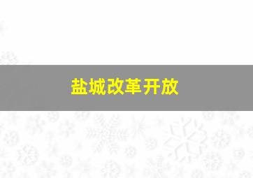 盐城改革开放