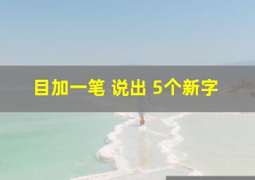 目加一笔 说出 5个新字